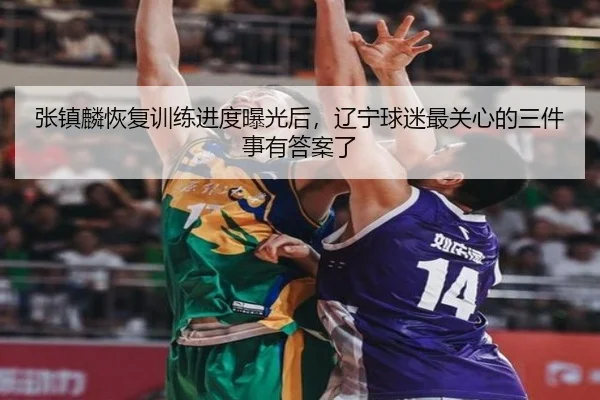 张镇麟恢复训练进度曝光后，辽宁球迷最关心的三件事有答案了