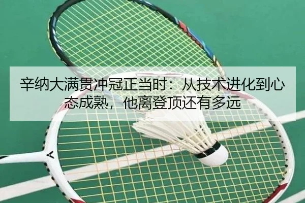 辛纳大满贯冲冠正当时：从技术进化到心态成熟，他离登顶还有多远 - huatihui